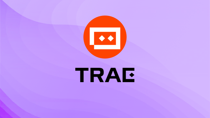 Trae对Python的FastAPI和Flask项目的AI辅助效果对比如何？