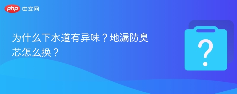 下水道异味怎么解决？地漏防臭芯更换方法