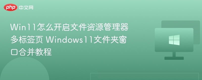 Win11资源管理器多标签页开启方法