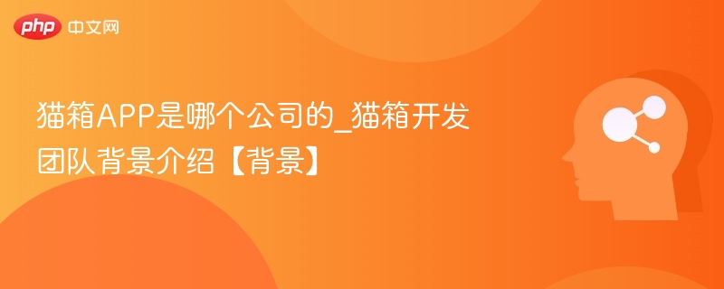 猫箱APP开发商及团队背景揭秘