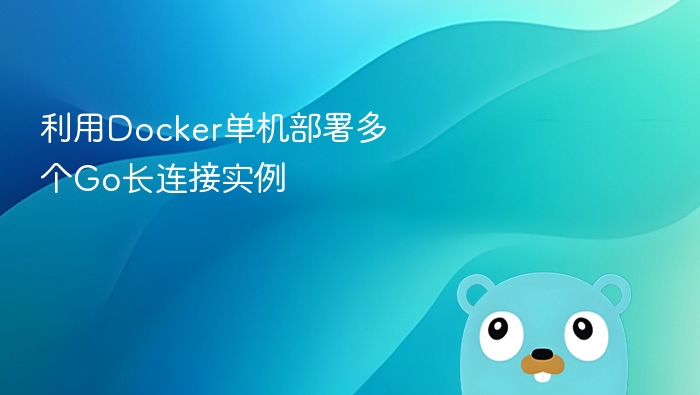 Docker部署多个Go长连接实例方法