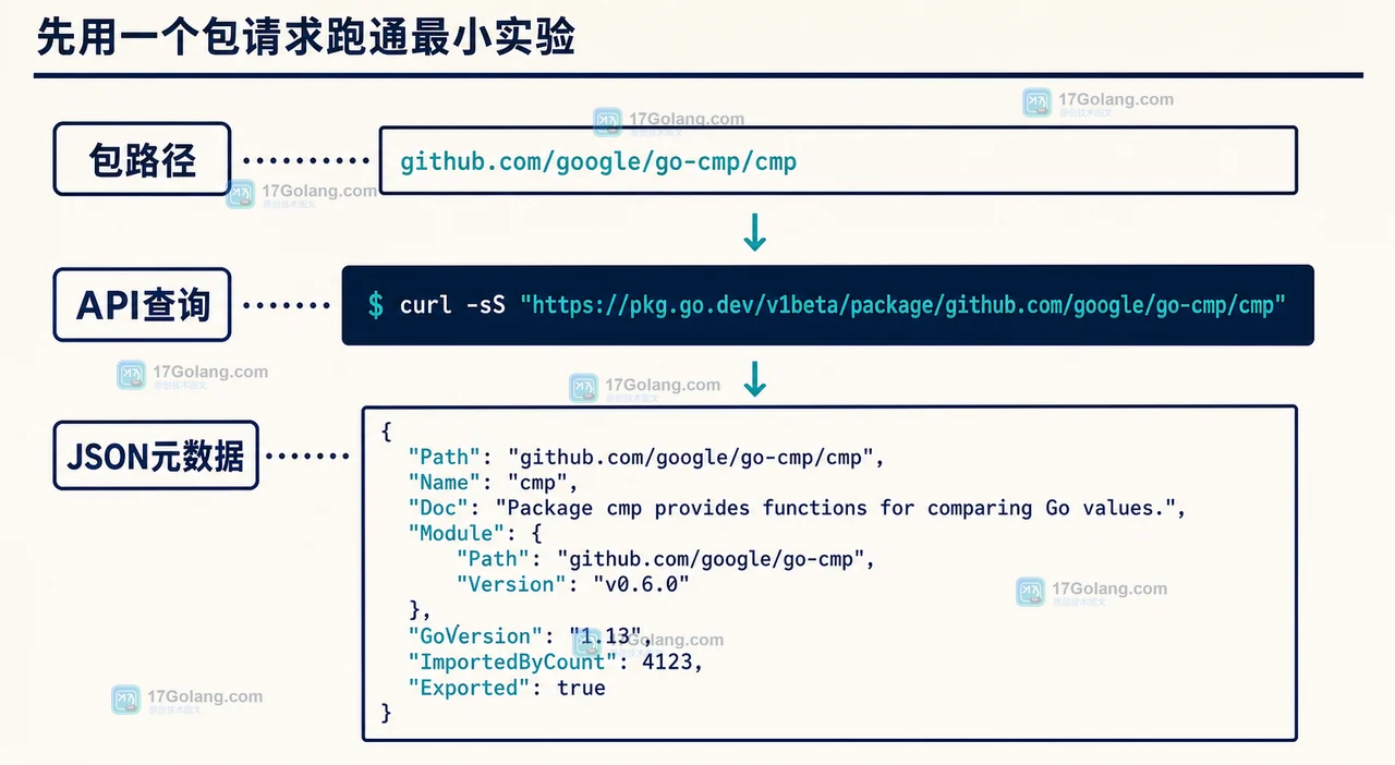 pkg.go.dev API 查询链路：包路径进入 v1beta 接口后返回结构化元数据