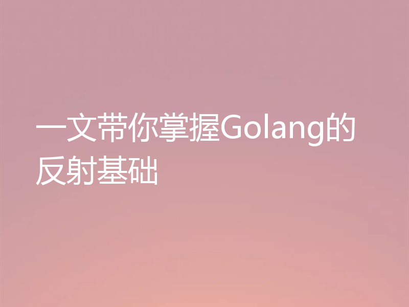 一文带你掌握Golang的反射基础