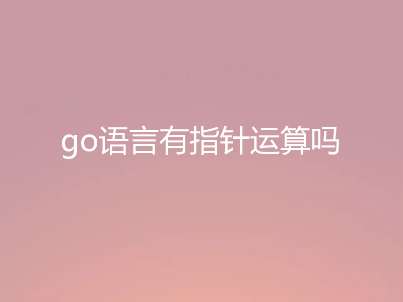 go语言有指针运算吗