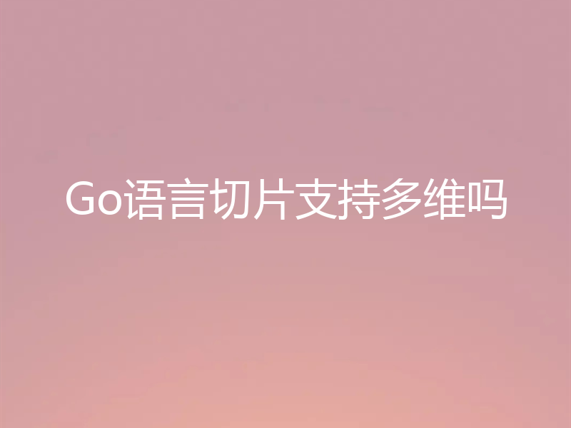 Go语言切片支持多维吗