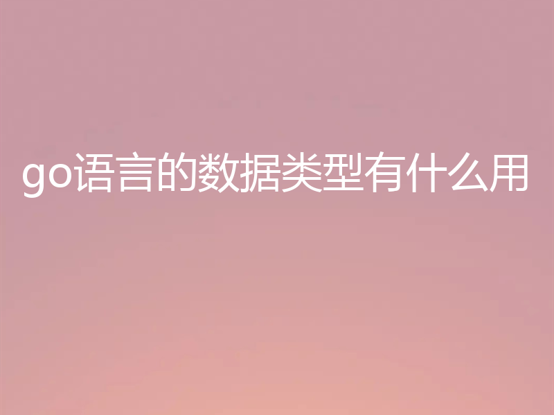 go语言的数据类型有什么用