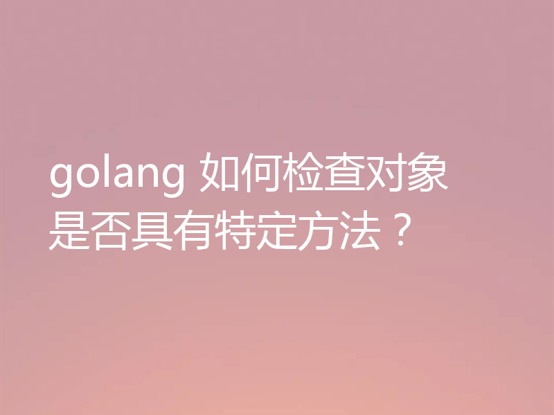 golang 如何检查对象是否具有特定方法？