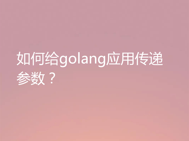 如何给golang应用传递参数？