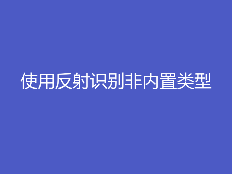 使用反射识别非内置类型