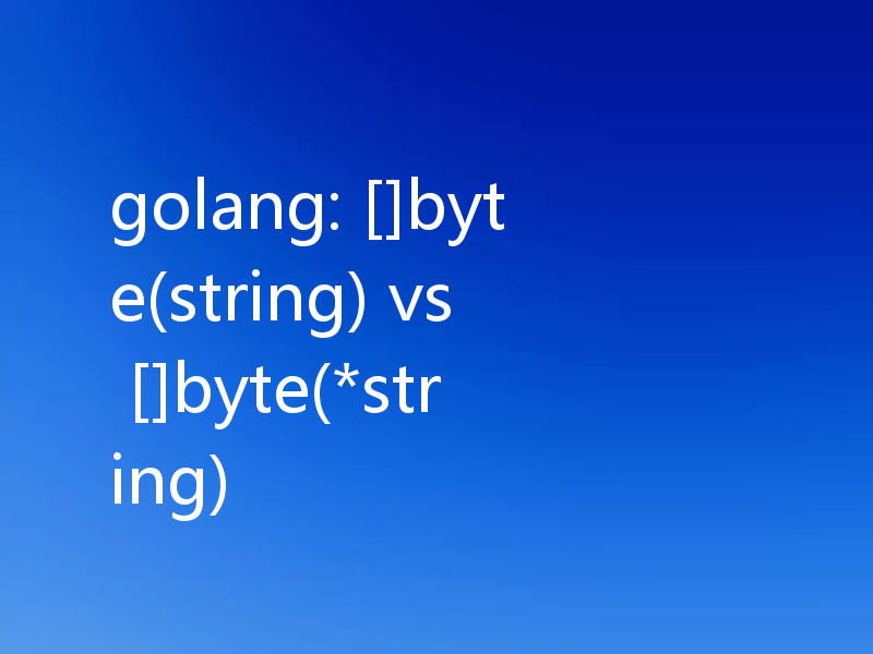golang: []byte(string) vs []byte(*string)