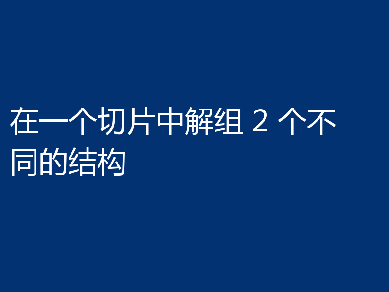 在一个切片中解组 2 个不同的结构