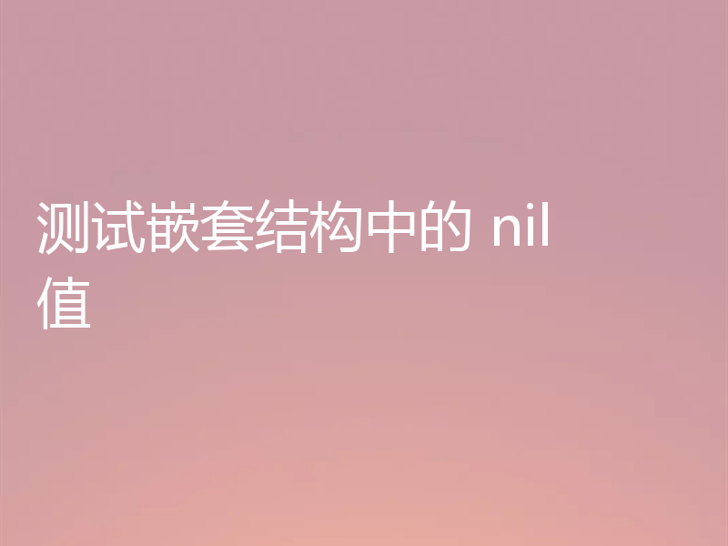 测试嵌套结构中的 nil 值