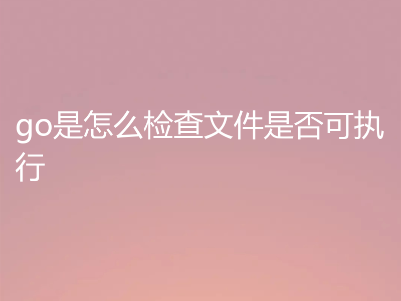 go是怎么检查文件是否可执行