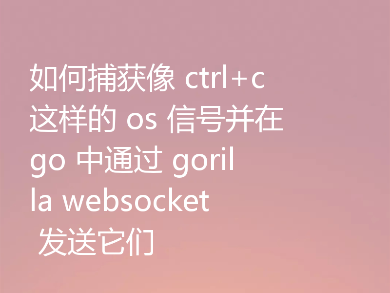 如何捕获像 ctrl+c 这样的 os 信号并在 go 中通过 gorilla websocket 发送它们
