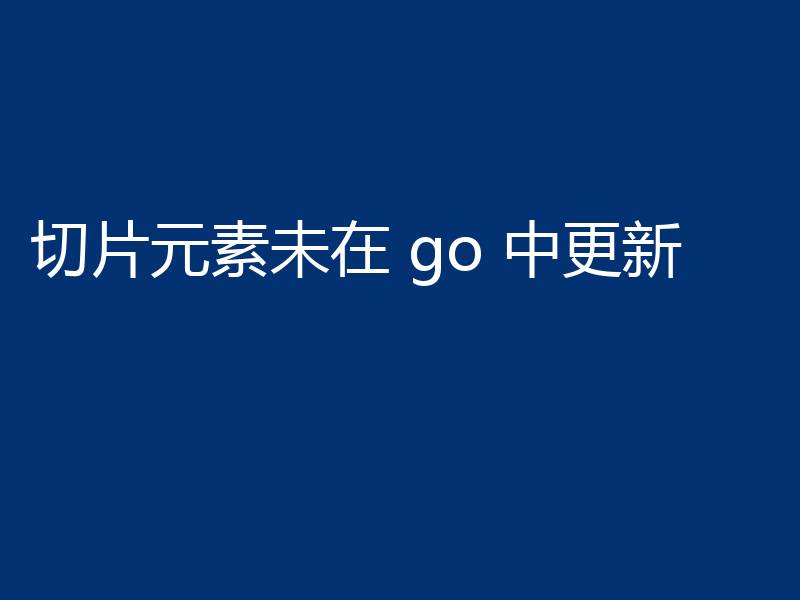 切片元素未在 go 中更新