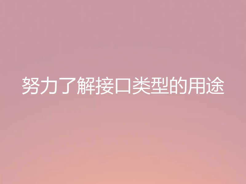 努力了解接口类型的用途