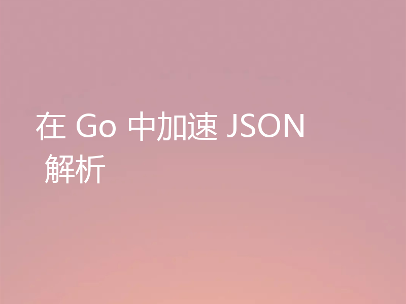 在 Go 中加速 JSON 解析