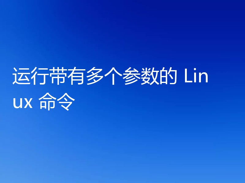 运行带有多个参数的 Linux 命令