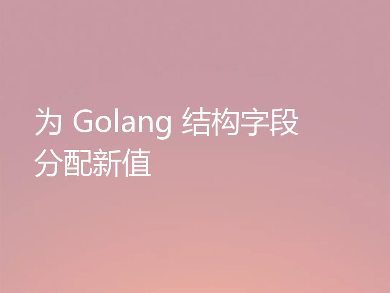 为 Golang 结构字段分配新值