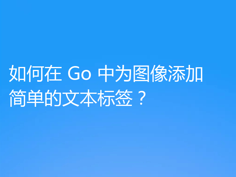 如何在 Go 中为图像添加简单的文本标签？