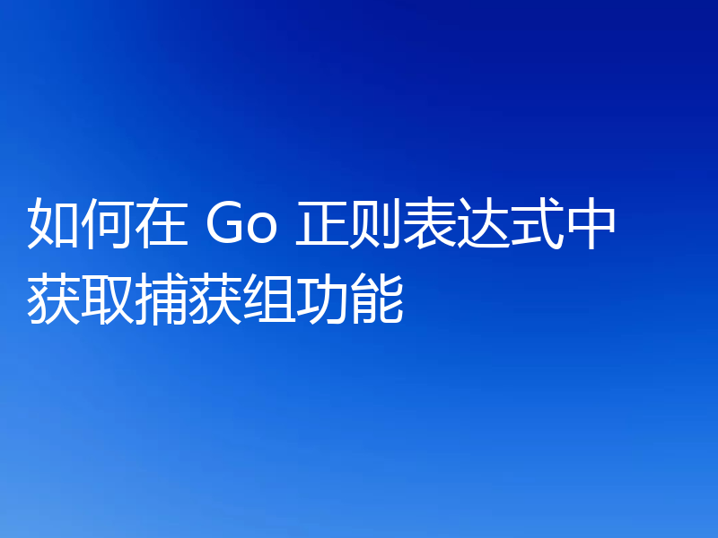 如何在 Go 正则表达式中获取捕获组功能