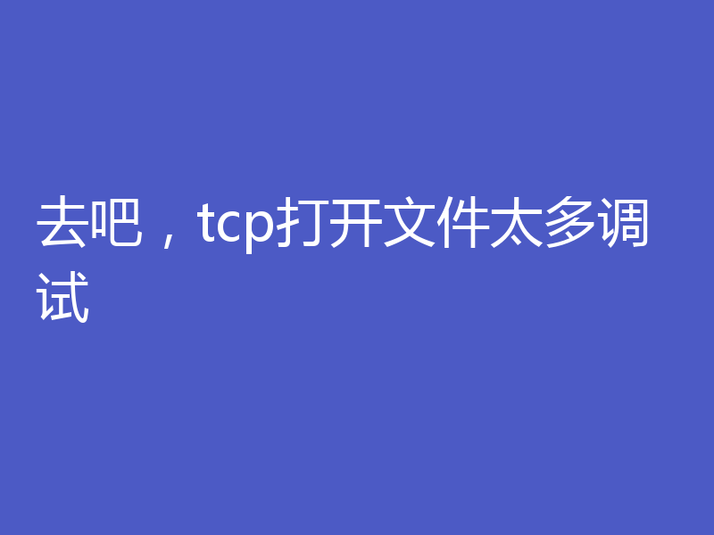 去吧，tcp打开文件太多调试