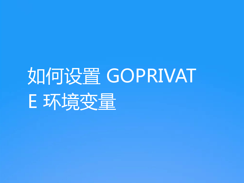 如何设置 GOPRIVATE 环境变量