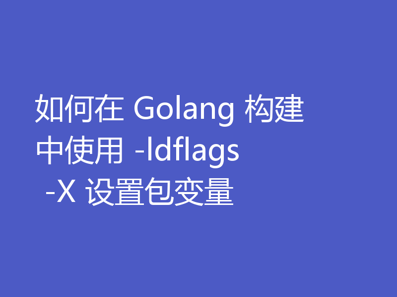 如何在 Golang 构建中使用 -ldflags -X 设置包变量