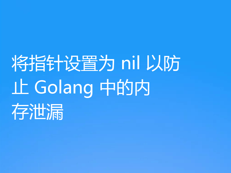 将指针设置为 nil 以防止 Golang 中的内存泄漏