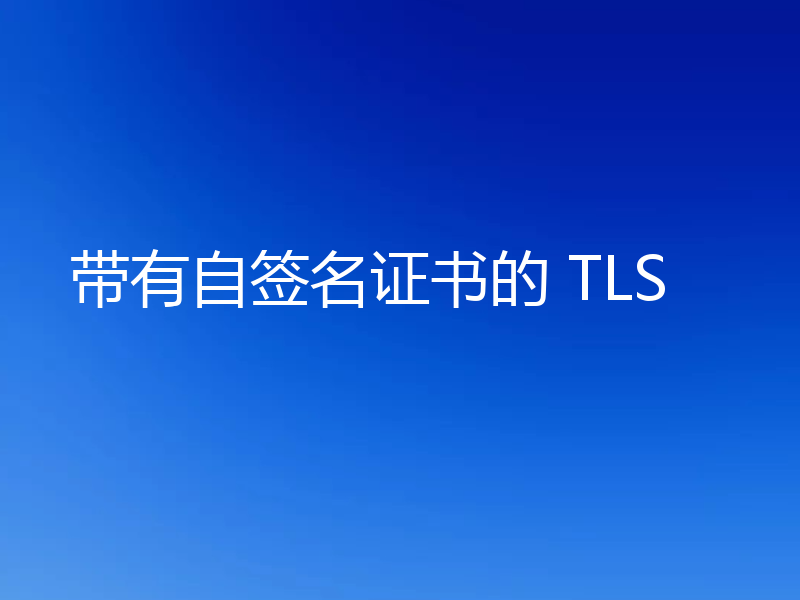 带有自签名证书的 TLS