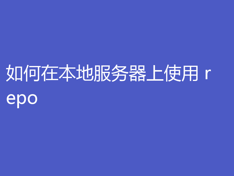 如何在本地服务器上使用 repo