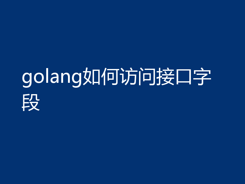golang如何访问接口字段