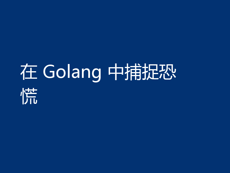 在 Golang 中捕捉恐慌