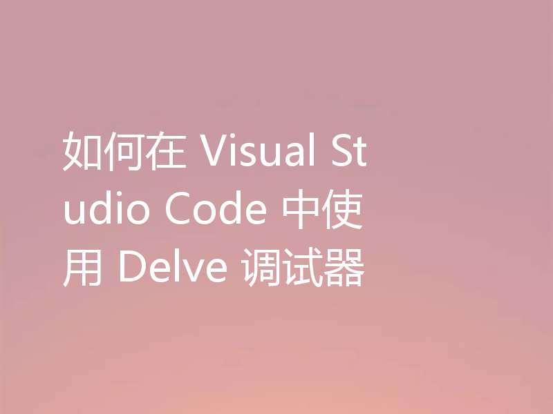 如何在 Visual Studio Code 中使用 Delve 调试器