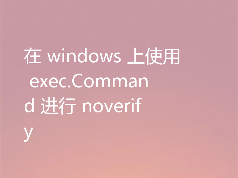 在 windows 上使用 exec.Command 进行 noverify