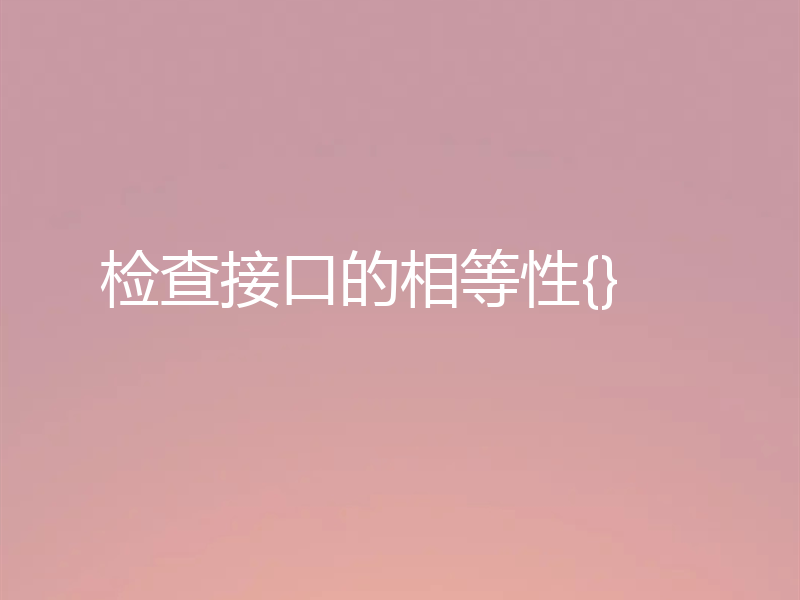 检查接口的相等性{}