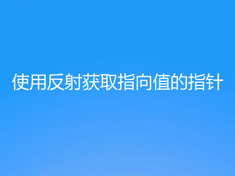 使用反射获取指向值的指针