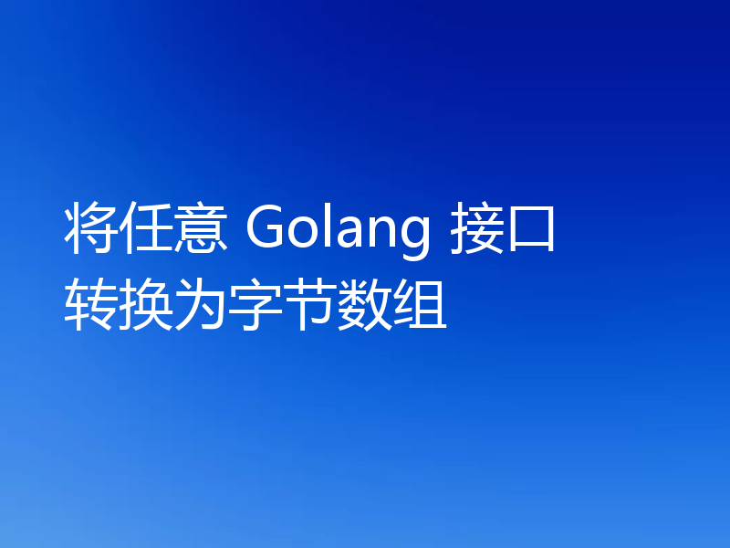 将任意 Golang 接口转换为字节数组