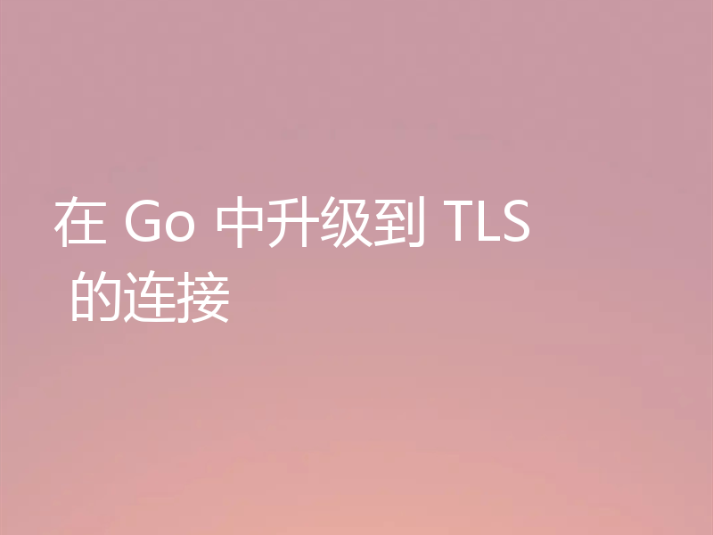在 Go 中升级到 TLS 的连接