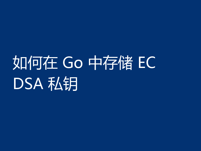如何在 Go 中存储 ECDSA 私钥