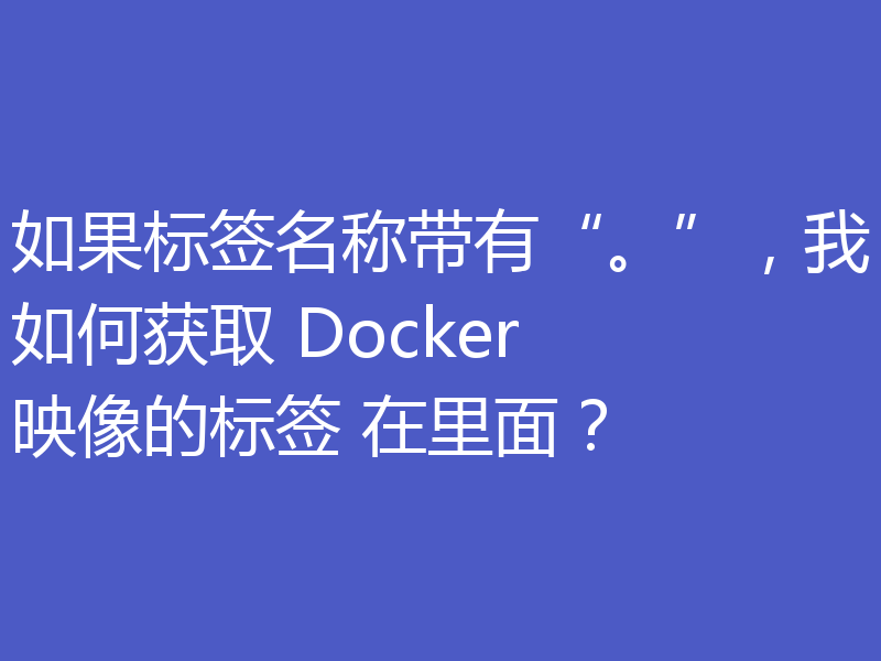 如果标签名称带有“。”，我如何获取 Docker 映像的标签 在里面？