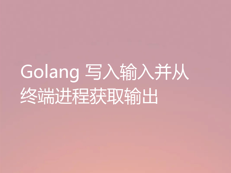 Golang 写入输入并从终端进程获取输出