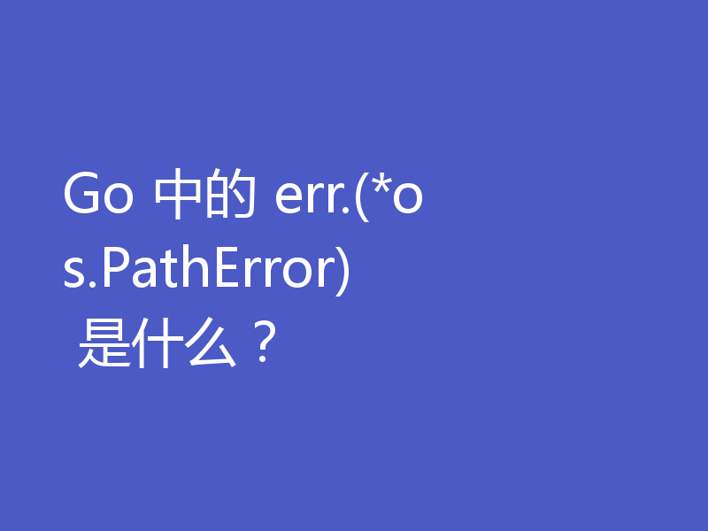 Go 中的 err.(*os.PathError) 是什么？