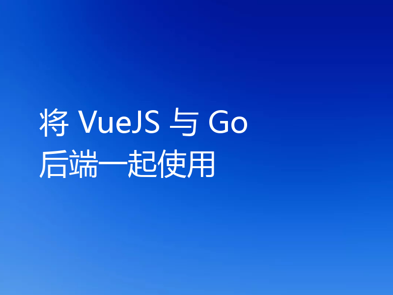将 VueJS 与 Go 后端一起使用