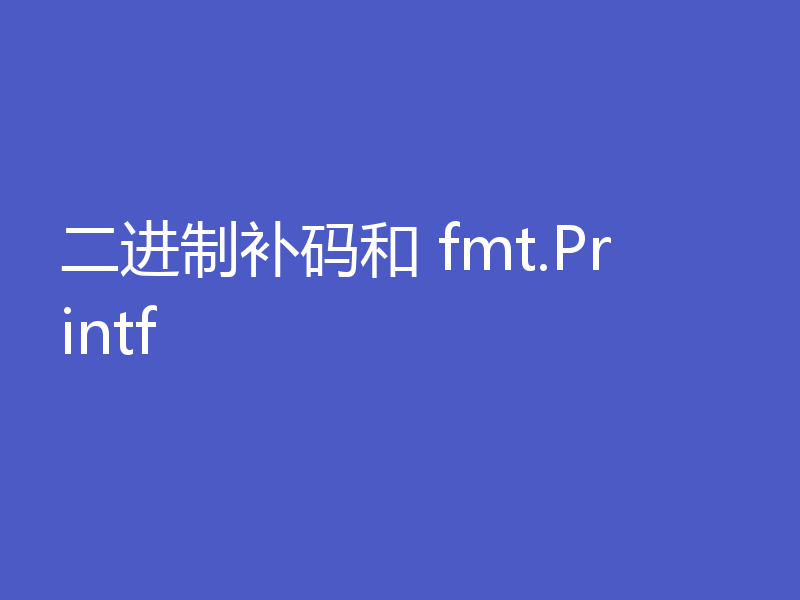 二进制补码和 fmt.Printf