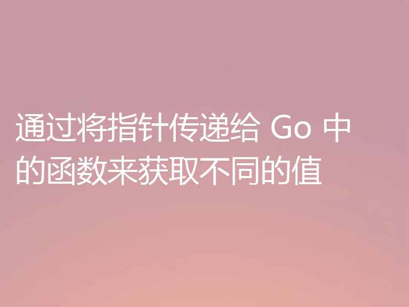 通过将指针传递给 Go 中的函数来获取不同的值