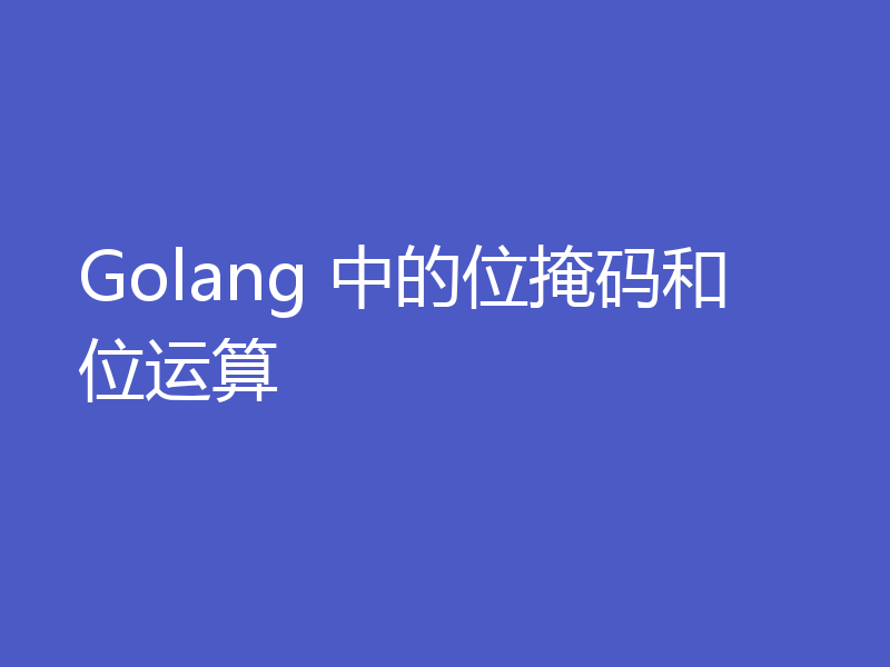Golang 中的位掩码和位运算