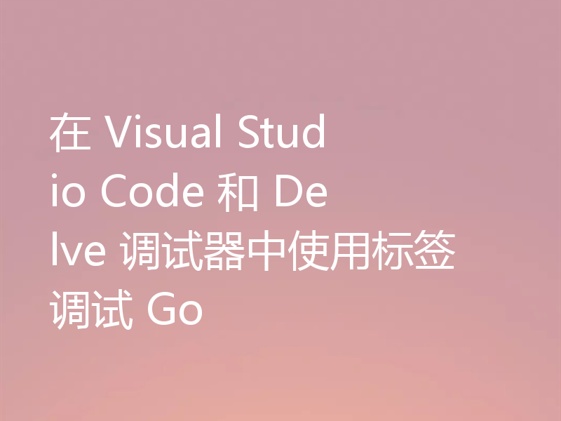 在 Visual Studio Code 和 Delve 调试器中使用标签调试 Go