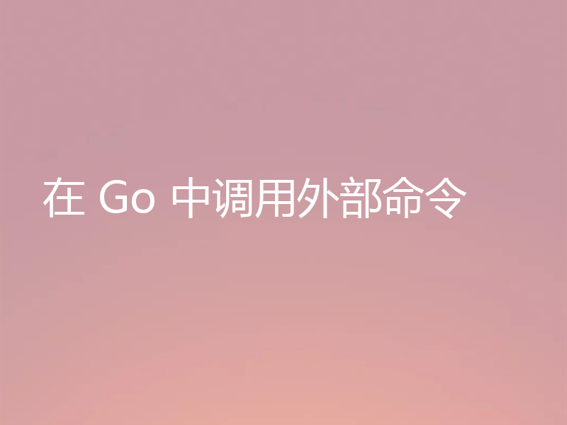 在 Go 中调用外部命令