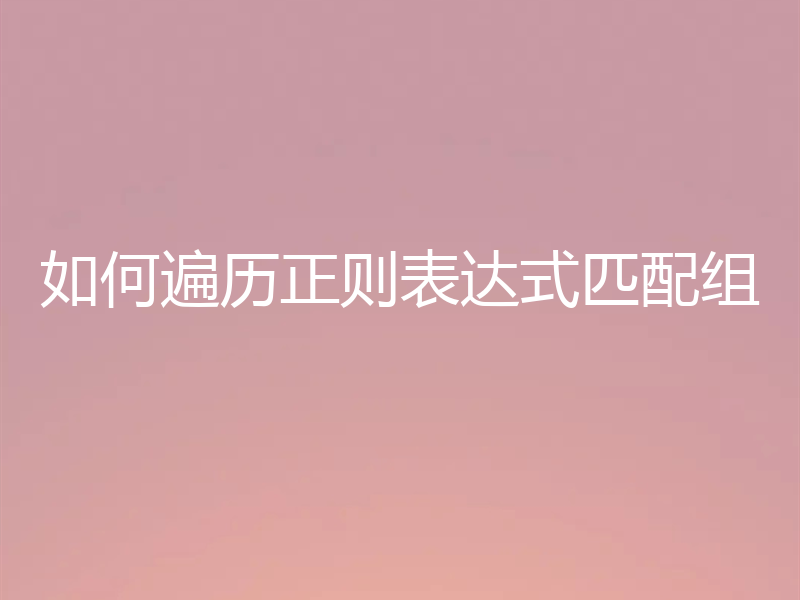 如何遍历正则表达式匹配组